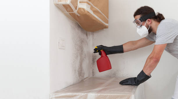 Professional Crawl Space Mold Removal technician working in Stoughton, MA
