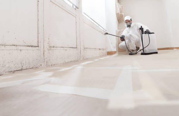 24/7 Emergency Crawl Space Mold Removal experts in Stoughton, MA